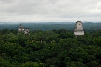 Tikal from IV